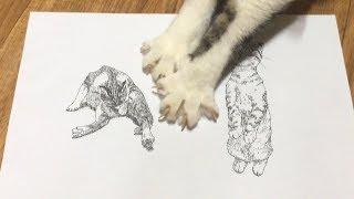 그루밍 하는 고양이 그리기[고양이 그리는 법 20장]