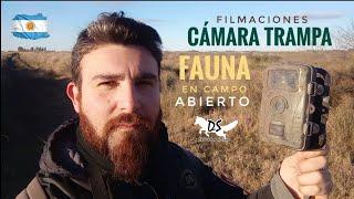 Mi Cámara TRAMPA en CAMPO abierto‼️ - FAUNA invernal