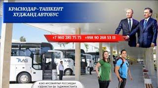 +79650496969/Краснодар-Ташкент Краснодар Ташкент автобус, Ташкент Краснодар автобус, Ростов Ташкент