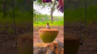 CAMPING HACKS Turn Coconut Into Oil Lamp.#camping #outdoors #bushcraft