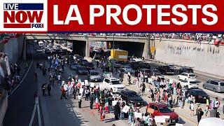 WATCH: Anti-ICE protesters block freeway in LA | LiveNOW from FOX