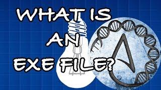 What is an EXE file?