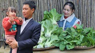 Family Harvesting Vegetable Garden - Go To Market To Sell | Ly Phuc An