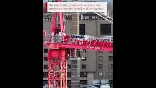 New Cardinal Glennon Children's Hospital Cranes