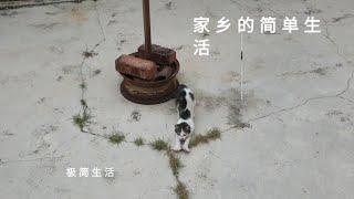 极简生活|极简主义|家乡的简单生活|MinimalistLiving|Minimalism|SimpleLiving|Hometown