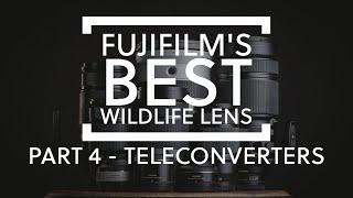 What is Fujifilm's best lens for wildlife photography - PART 4 - Teleconverters