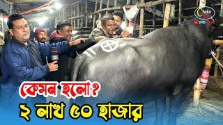 ২ লাখ ৫০ হাজারে টানাটানি করে মহিষটি কিনলেন! গাবতলী ২০২৪