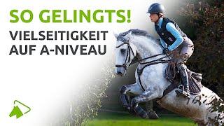 Lerne Geländesprünge auf A-Niveau zu reiten | wehorse