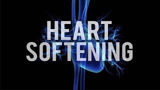 HEART SOFTENING QURAN RECITATION