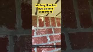 Smart Home: “customer” likes the placement of their new outdoor #camera