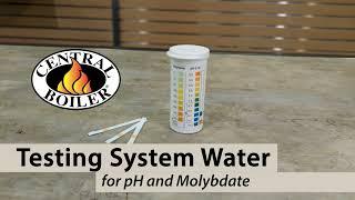 Test System Water for pH & Molybdate with Test Kit #2500691  | Central Boiler Outdoor Wood Furnace