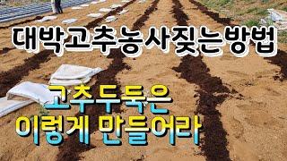 고추대박농사짖는방법(고추밭 두둑만들기편)