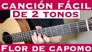 Flor de Capomo - Cancion Facil de 2 Tonos para Principiantes (Tutorial Guitarra) Los Cadetes