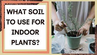 What Soil To Use For Indoor Plants? - What Soil is Best for Houseplants