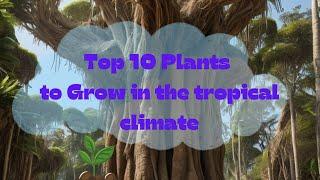 Top 10 Plants to Grow in the tropical climate. HaoHao happy