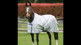 Bucas Rugs Australia Features & Benefits Boutique Equines