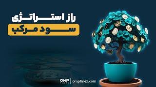 راز استراتژی سود مرکب | ompfinex