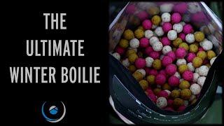 The Perfect Winter Carp Bait | The Essential Fruit Boilie | Product Focus