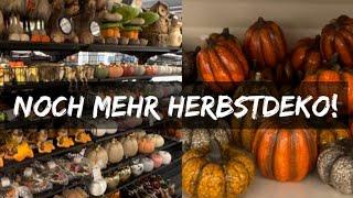  HERBSTDEKO-SHOPPING BEI ACTION/TEDI/NKD | COWGIRL SARAH 