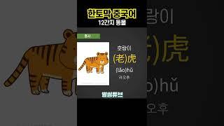 [한토막중국어] EP.25 | 12간지 띠 동물 | 빠른 중국어단어 충전 #기초중국어 #중국어회화 #초급중국어 #생활중국어