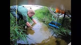 IGB field work at the River Erpe in Berlin/Brandenburg