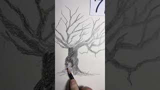 Make a quick sketch of the 2024 UK tree of the year with me.