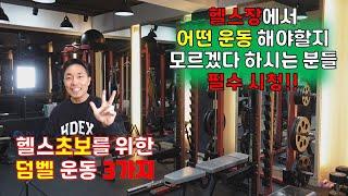 헬스초보를 위한 덤벨 운동 3가지