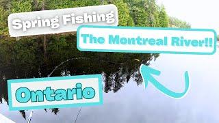 SPRING Pike Fishing in the MONTREAL RIVER!! (Montreal River Ontario)