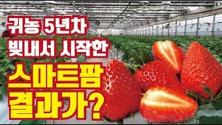 [한국농업기술TV] 3억 짜리를 1억 5천만 원에 구입, 딸기 농사 하기 전 준비 자금, strawberry smart farm