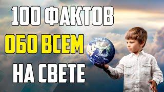100 ИНТЕРЕСНЫХ ФАКТОВ ОБО ВСЕМ