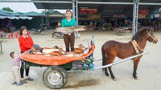 Use Net To Harvest Many Big Fish - Use Horse Carriage Transport Big Fish Go To Market Sell