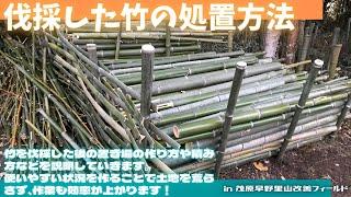 伐採した竹の処置方法【里山再生・土壌改善・竹の伐採・竹のストック方法・仮置き場・すべて竹で作る】