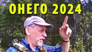 Трейлер похода на Онего | Поход 2024