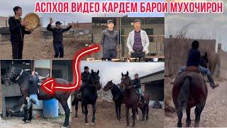 Аспхои худамона видео Кардам дархости мухочир 