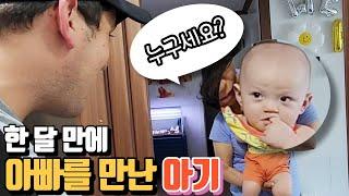 오랜만에 미국인 아빠를 만난 혼혈아기의 반응