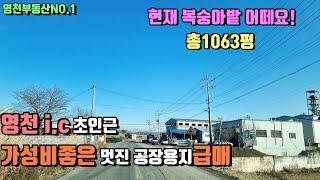 영천i.c초인근 저렴한 공장용지매매[매물번호222] /영천복숭아밭매매/영천부동산NO.1/영천하나공인중개사/영천부동산