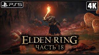 ELDEN RING  Прохождение [4K PS5] ─ Часть 18: Река Ансель (БОССЫ)  Элден Ринг Геймплей на Русском