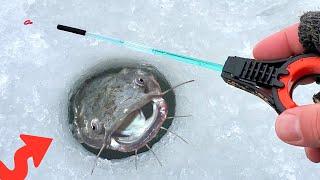 Balalaika: Ultra-Sensitive Palm Rod Setup | Panfish Ice Fishing