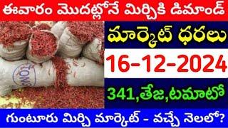 16/12/2024 గుంటూరు మిర్చి మార్కేట్ ధర || Today #MirchiRates In market ||  Mirchi Rate Increase ??