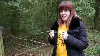 The Potsford Gibbet: A Paranormal Investigation