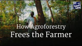 How Agroforestry Frees the Farmer – Sadhguru