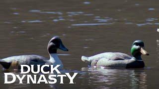 Duck Dynasty: Duck Decoy Battle (Season 8, Episode 3) | Duck Dynasty