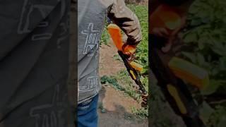 video graphy in KGF || rks editor 25 || #videography #viralshorts #shots