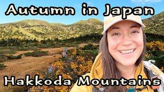 So pretty! Hiking in Japan’s Fall Colors: Hakkōda Mountains Solo Backpacking, Sukayu Campsite, Onsen