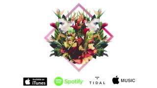 Michael Minelli - W4YL (Official Audio)