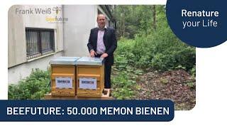 memon und Beefuture: 50.000 memon Bienen