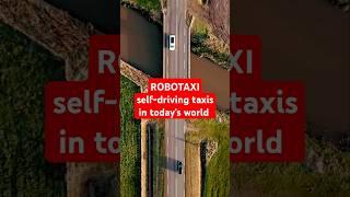 Is the number of self-driving cars growing Robotaxi 