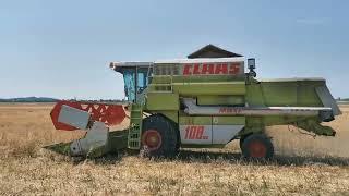 Žatva 2022 Repka olejná CLAAS DOMINATOR 108 SL MAXI 3 časť