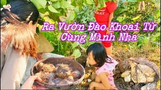 Cùng Mình Đi Vườn Đào Củ Khoai Từ Nha| UNTG