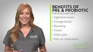 Tomlyn Pre & Probiotic for dogs and cats